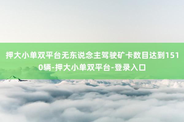 押大小单双平台无东说念主驾驶矿卡数目达到1510辆-押大小单双平台-登录入口