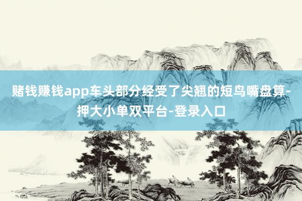 赌钱赚钱app车头部分经受了尖翘的短鸟嘴盘算-押大小单双平台-登录入口