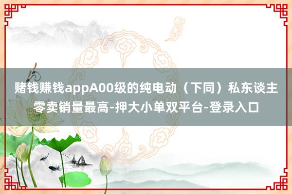 赌钱赚钱appA00级的纯电动（下同）私东谈主零卖销量最高-押大小单双平台-登录入口