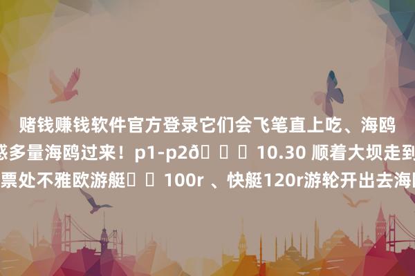 赌钱赚钱软件官方登录它们会飞笔直上吃、海鸥少的时候要丢欧粮眩惑多量海鸥过来！p1-p2🕐10.30 顺着大坝走到游轮🚢售票处不雅欧游艇⛵️100r 、快艇120r游轮开出去海鸥就会随着飞太好意思啦 💕淌若莫得买欧粮游轮上也有卖p16-p17🕐12.00 近邻餐厅🍴吃个🍚没思到这家傣味餐厅🍴里也有那么多海鸥庇荫拍照好面子呀还有很有典礼感的点🔥典礼p7-p15🕐1.30 餐厅外出左转银海路拍三角梅（银