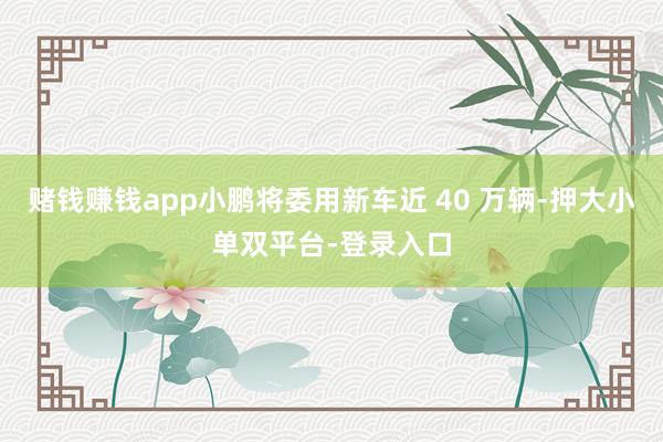 赌钱赚钱app小鹏将委用新车近 40 万辆-押大小单双平台-登录入口