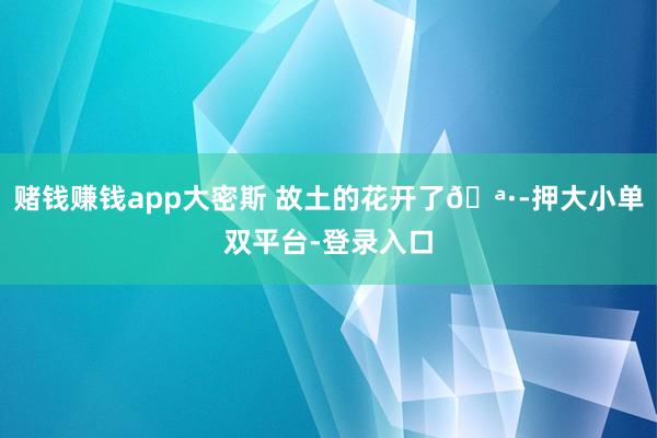 赌钱赚钱app大密斯 故土的花开了🪷-押大小单双平台-登录入口