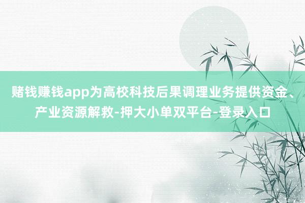 赌钱赚钱app为高校科技后果调理业务提供资金、产业资源解救-押大小单双平台-登录入口