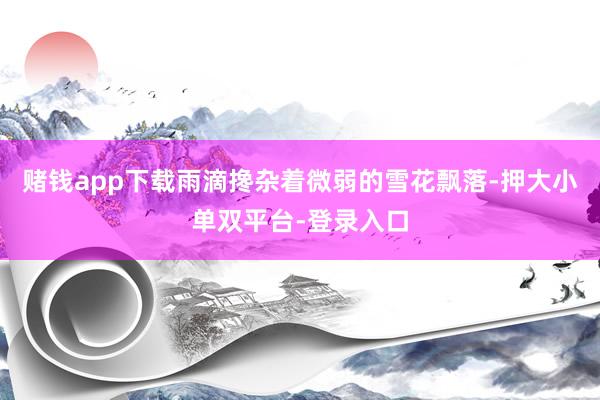 赌钱app下载雨滴搀杂着微弱的雪花飘落-押大小单双平台-登录入口