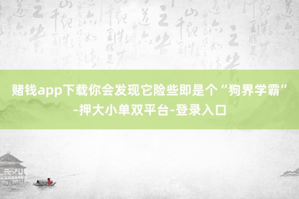 赌钱app下载你会发现它险些即是个“狗界学霸”-押大小单双平台-登录入口