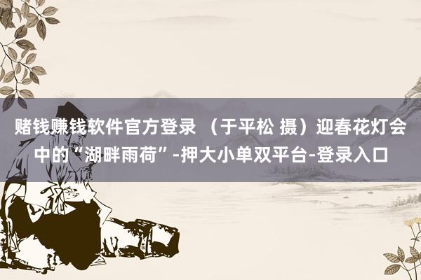 赌钱赚钱软件官方登录 （于平松 摄）迎春花灯会中的“湖畔雨荷”-押大小单双平台-登录入口