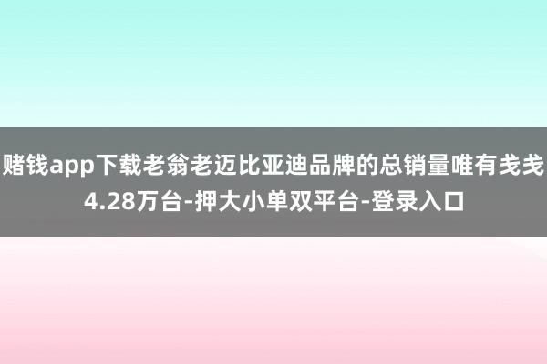 赌钱app下载老翁老迈比亚迪品牌的总销量唯有戋戋4.28万台-押大小单双平台-登录入口