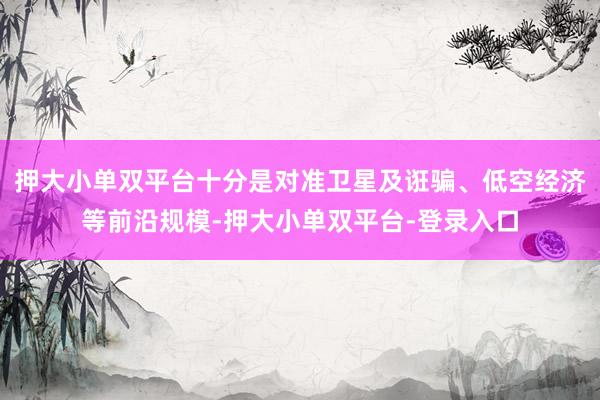 押大小单双平台十分是对准卫星及诳骗、低空经济等前沿规模-押大小单双平台-登录入口