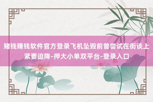 赌钱赚钱软件官方登录飞机坠毁前曾尝试在街谈上紧要迫降-押大小单双平台-登录入口