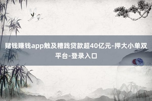 赌钱赚钱app触及糟践贷款超40亿元-押大小单双平台-登录入口
