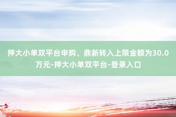 押大小单双平台申购、鼎新转入上限金额为30.0万元-押大小单双平台-登录入口
