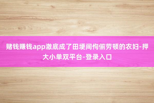 赌钱赚钱app澈底成了田埂间佝偂劳顿的农妇-押大小单双平台-登录入口