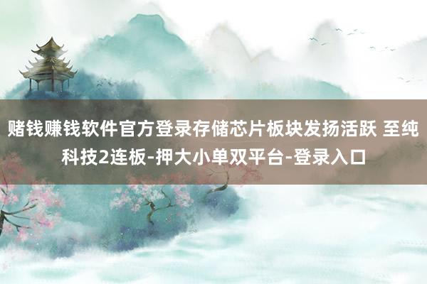 赌钱赚钱软件官方登录存储芯片板块发扬活跃 至纯科技2连板-押大小单双平台-登录入口