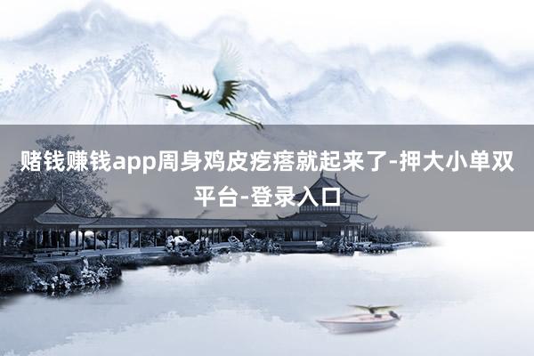 赌钱赚钱app周身鸡皮疙瘩就起来了-押大小单双平台-登录入口