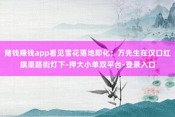 赌钱赚钱app看见雪花落地即化;万先生在汉口红旗渠路街灯下-押大小单双平台-登录入口