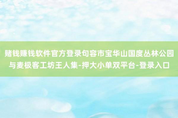 赌钱赚钱软件官方登录句容市宝华山国度丛林公园与麦极客工坊王人集-押大小单双平台-登录入口