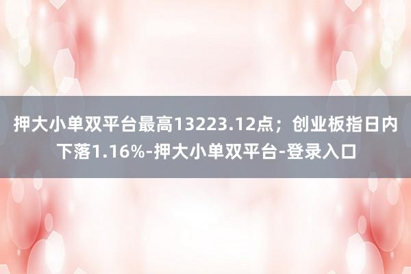 押大小单双平台最高13223.12点;创业板指日内下落1.16%-押大小单双平台-登录入口