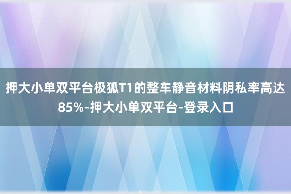 押大小单双平台极狐T1的整车静音材料阴私率高达85%-押大小单双平台-登录入口